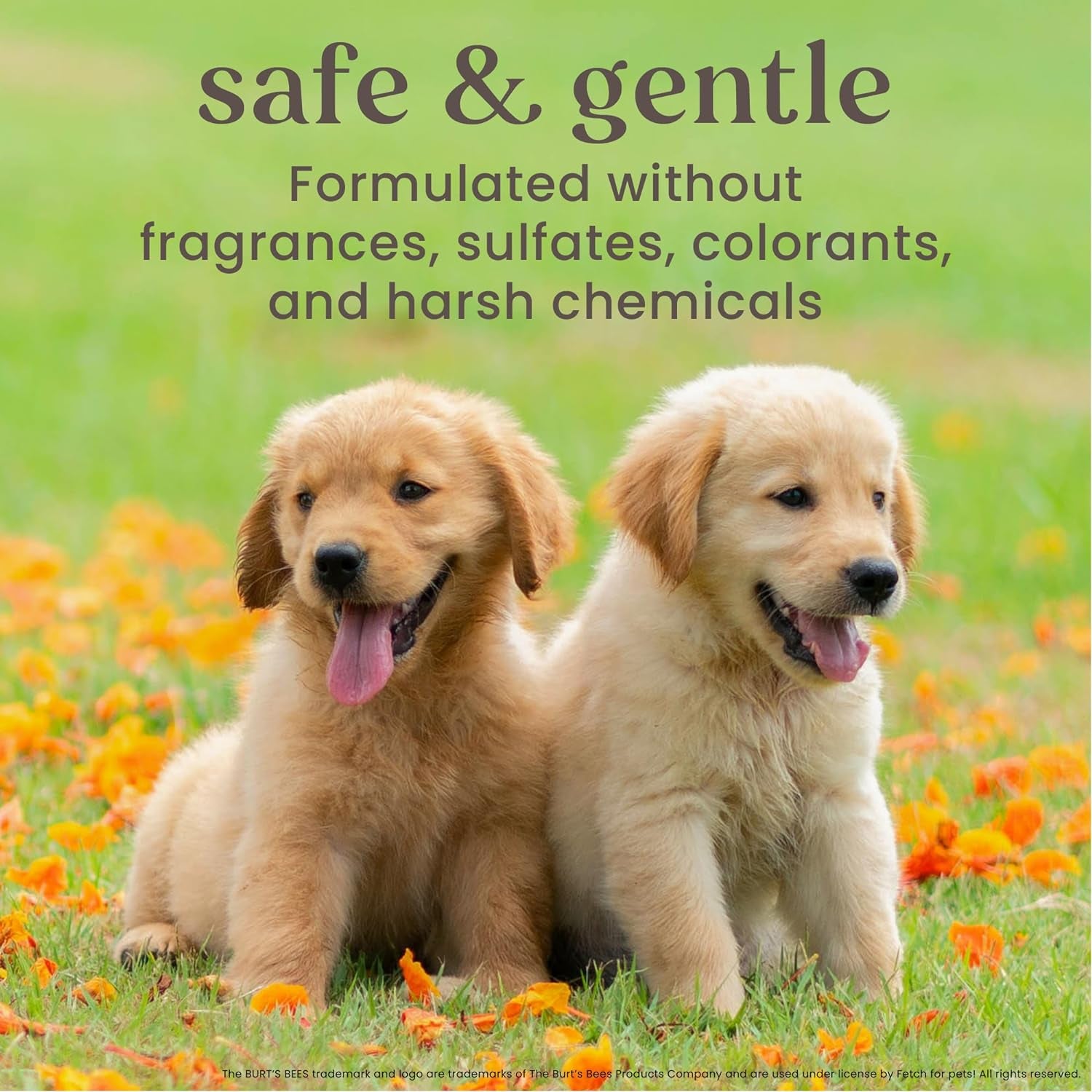 Tearless Puppy 2-In-1 Shampoo and Conditioner with Buttermilk and Linseed Oil, 95% Natural Origin Formulas, Shampoo for Puppies - Gentle Puppy Shampoo Tear Free, 16 Oz